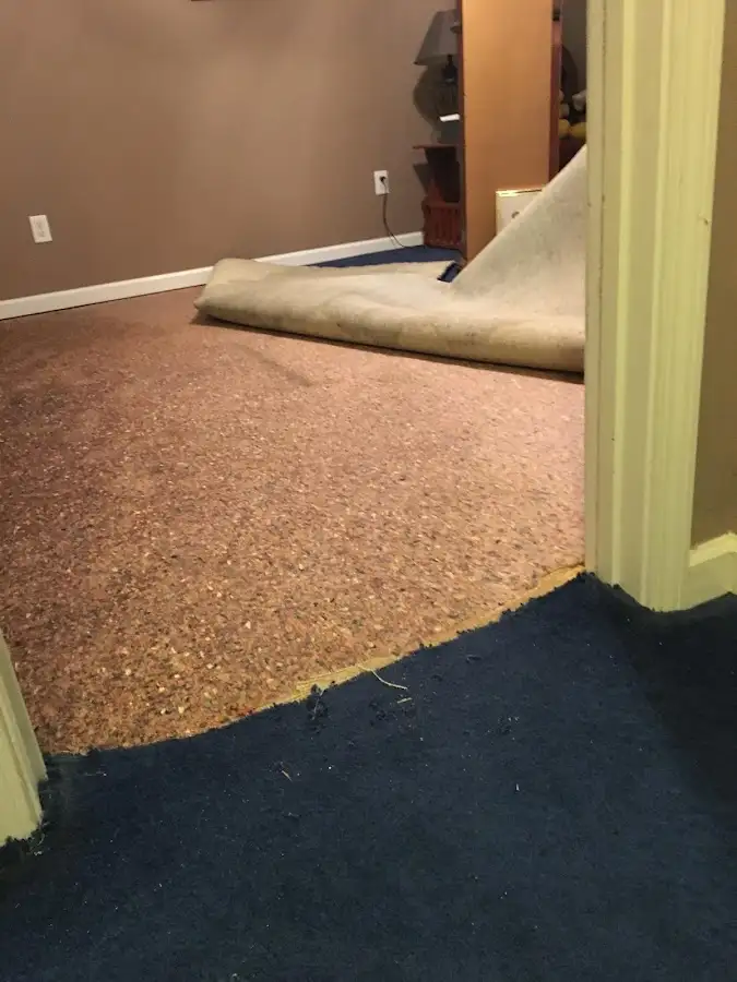 Carpet pad removal revealing water damage during Drying & Dehumidification in Canfield