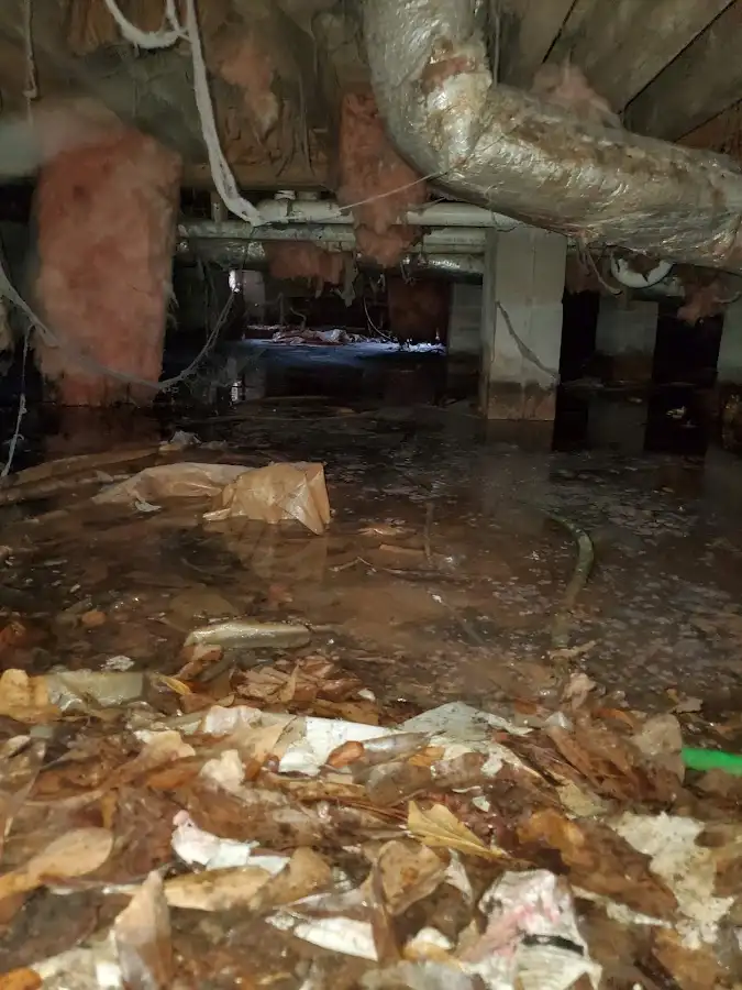 Crawl space flood assessment for Leak Detection & Repair in Canfield